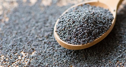 Ceyda Madencilik Gübre Kükürt Baharat Bakliyat Tohum