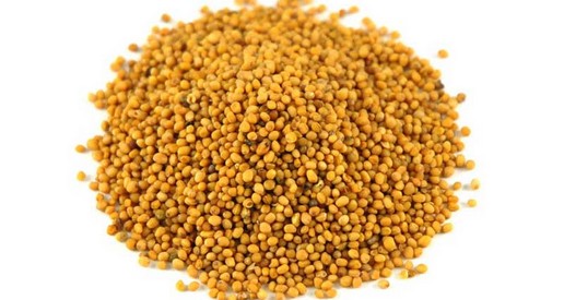 Ceyda Madencilik Gübre Kükürt Baharat Bakliyat Tohum