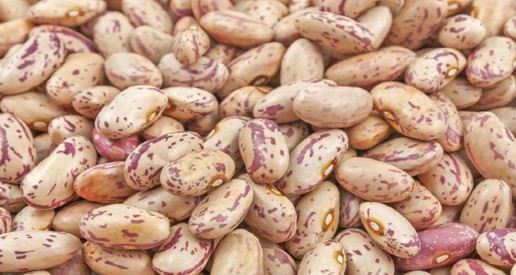 Ceyda Madencilik Gübre Kükürt Baharat Bakliyat Tohum