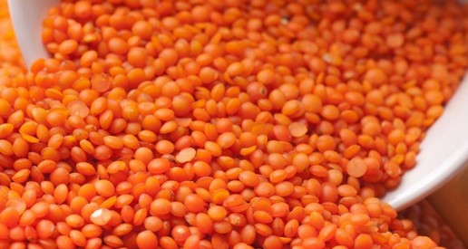 Ceyda Madencilik Gübre Kükürt Baharat Bakliyat Tohum