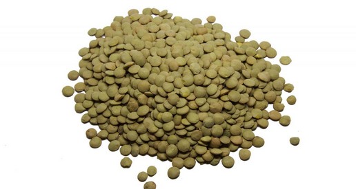 Ceyda Madencilik Gübre Kükürt Baharat Bakliyat Tohum