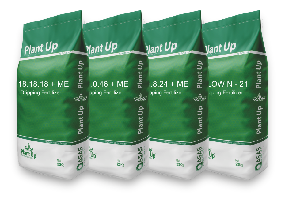 Ceyda Madencilik Gübre Kükürt Baharat Bakliyat Tohum