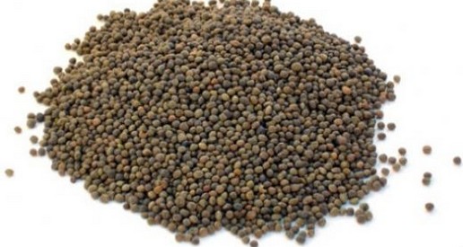 Ceyda Madencilik Gübre Kükürt Baharat Bakliyat Tohum